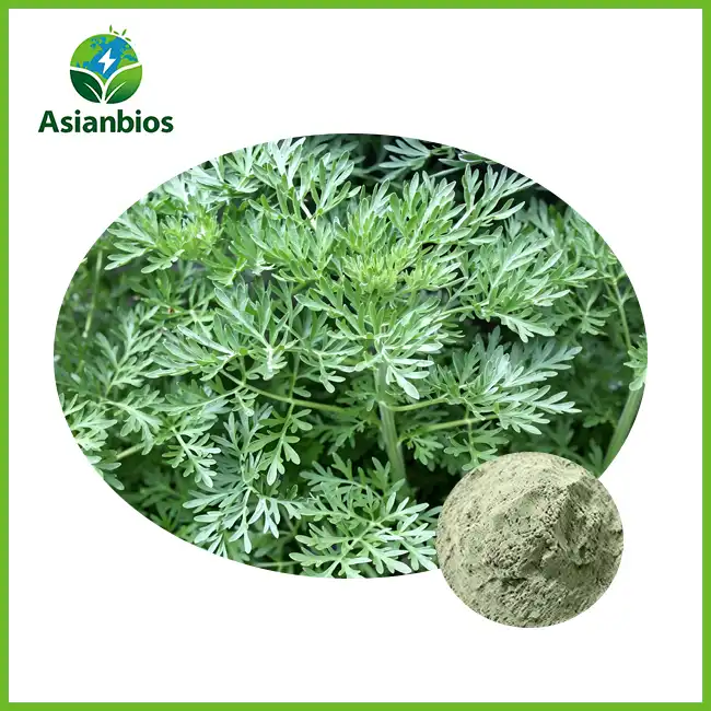 Mugwort Extract Powder